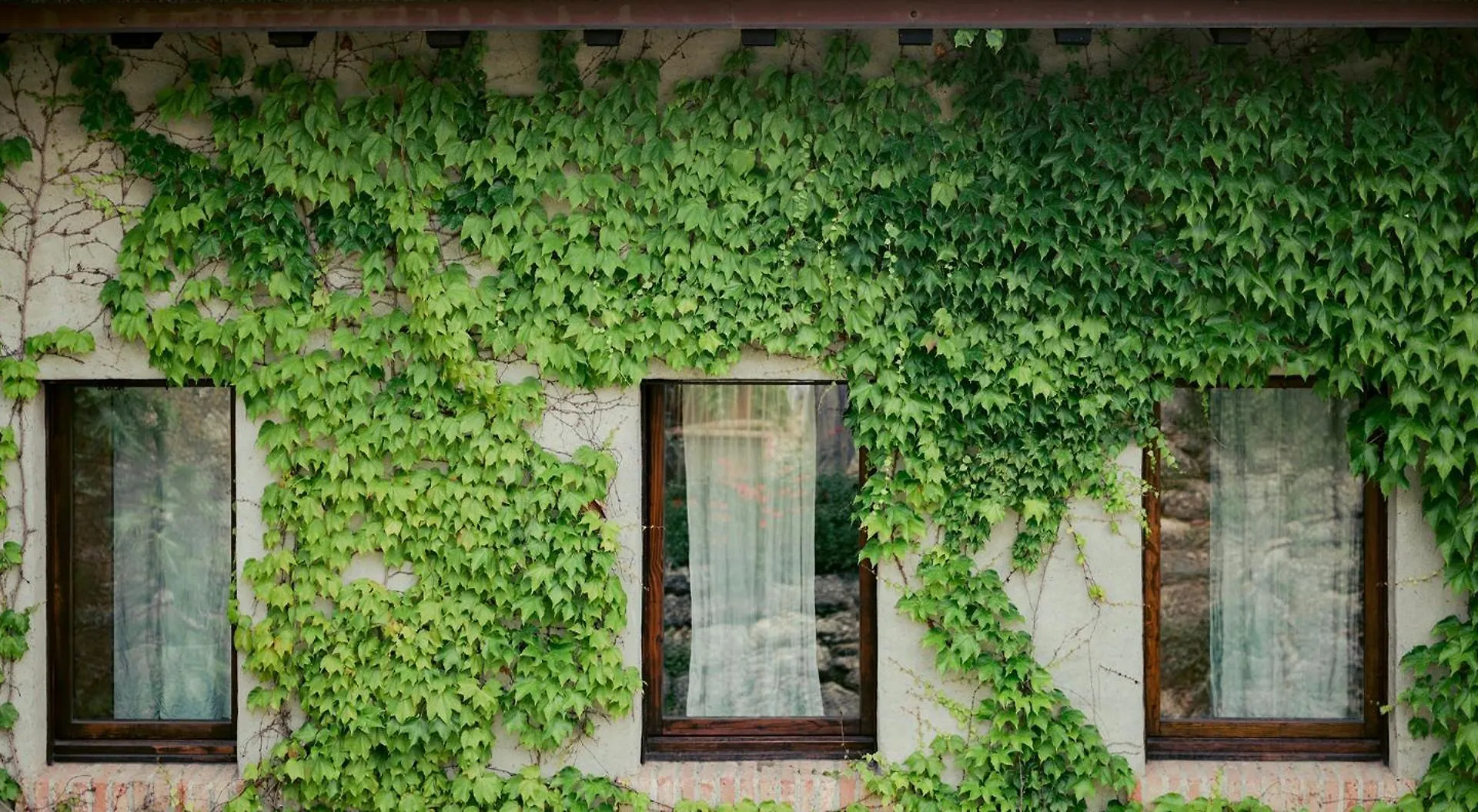 Cappuccini Resort Cologne